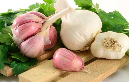 Garlic is good for Health