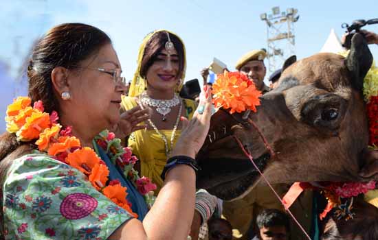 'Smart Farm' attracts farmers during gram-2016' 'Smart Farm' attracts farmers during gram-2016'