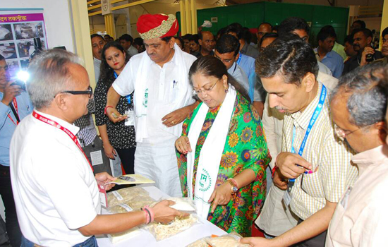 CM’s Special interest in prepared mushroom varieties