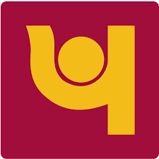 PNB put up 11 NPA accounts for sale to recover dues of Rs 1,234 cr