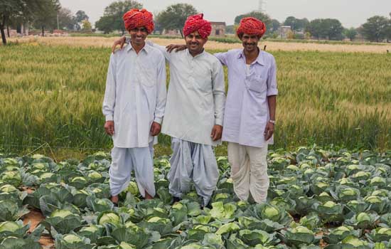 100 Farmers. 100 Stories’ Photo & Video Story Contest launched by TAFE - Be a #FarmDost