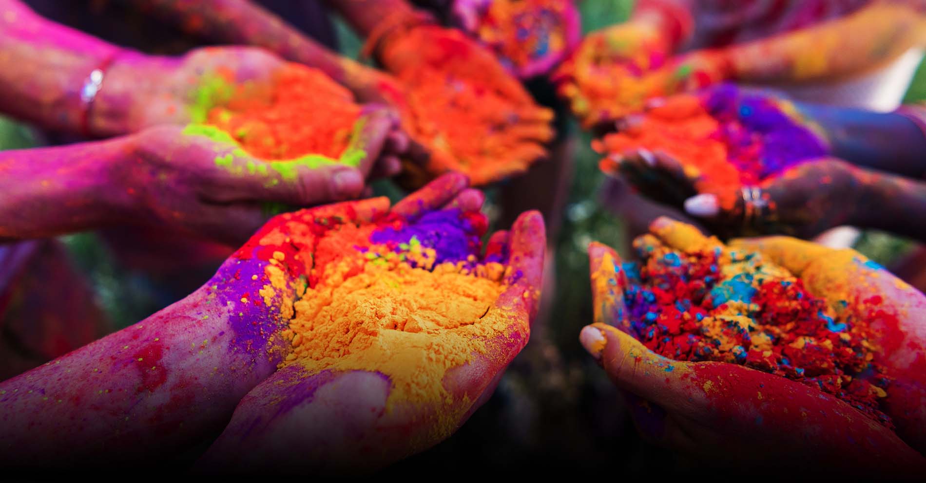 Colors of Tradition: Holi Celebrations in Udaipur