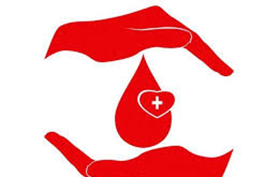 Organizing blood donation and plantation by Rotary Mewar