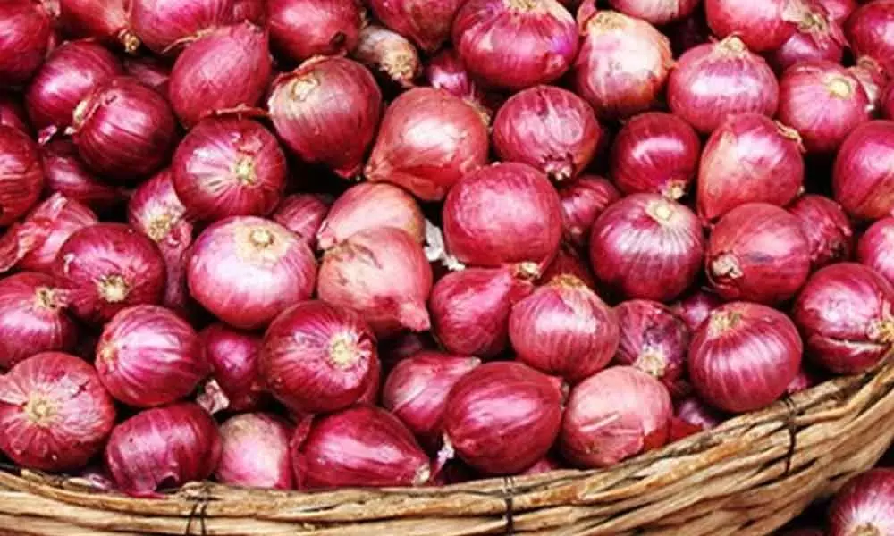 Cabinet clears import of 1.2 lakh metric tonnes onions